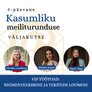 Kasumliku meiliturunduse väljakutse
